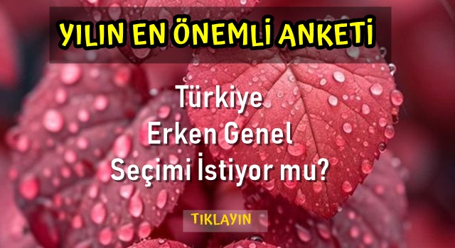 ANKET