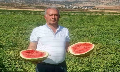 "Tarlada bedava Rafta Ateş Pahası"